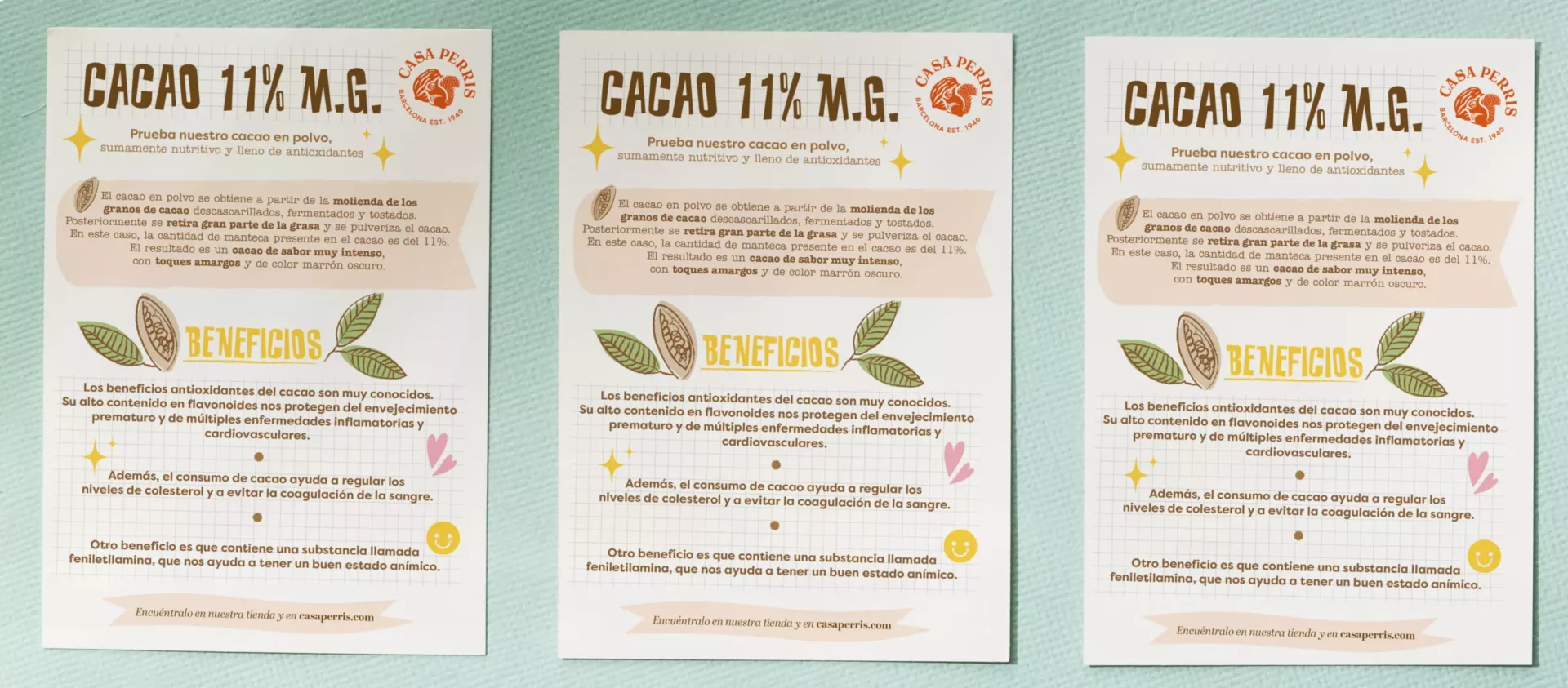 FLYER CACAO