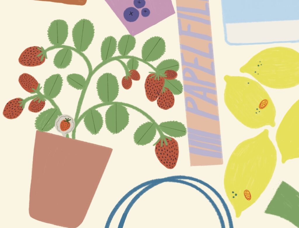 ilustracion print la compra, alimentos food